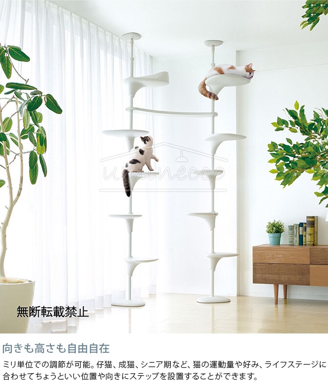 OPPO オッポ キャットフォレスト 2