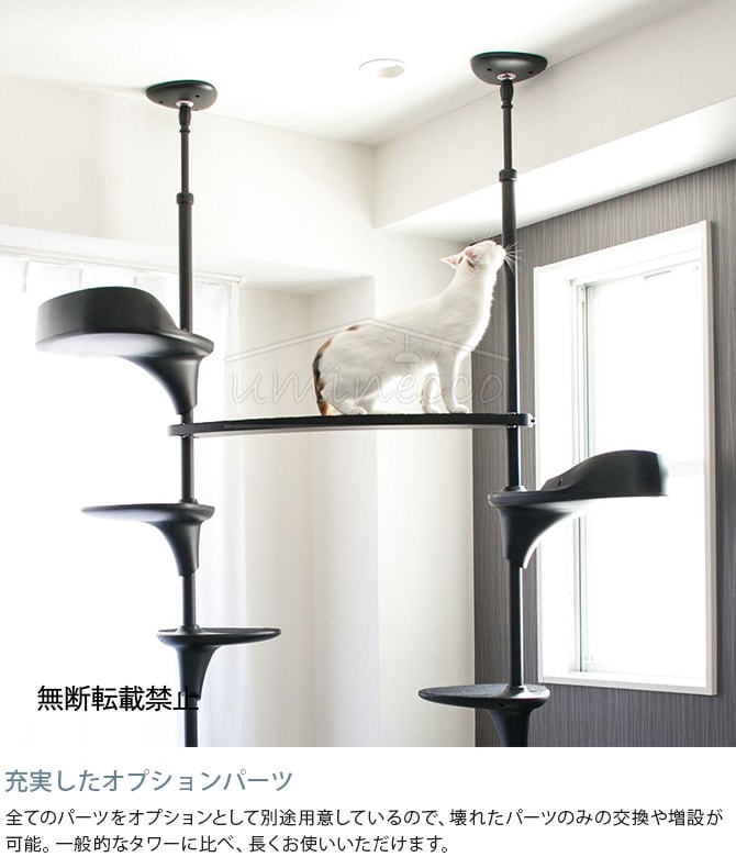 OPPO オッポ キャットフォレスト 2