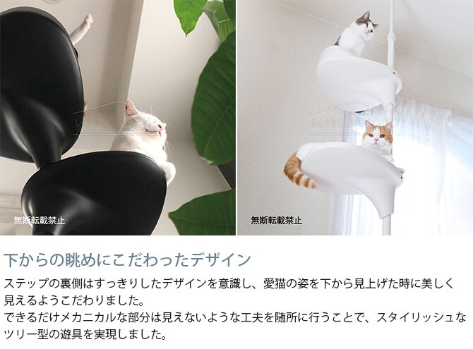 OPPO オッポ キャットフォレスト 2