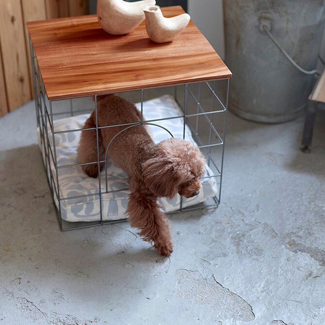 Horn Please ホーン プリーズ クッション ニュイ スクエア