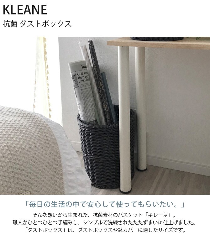 KLEANE キレーネ 抗菌 ダストボックス 