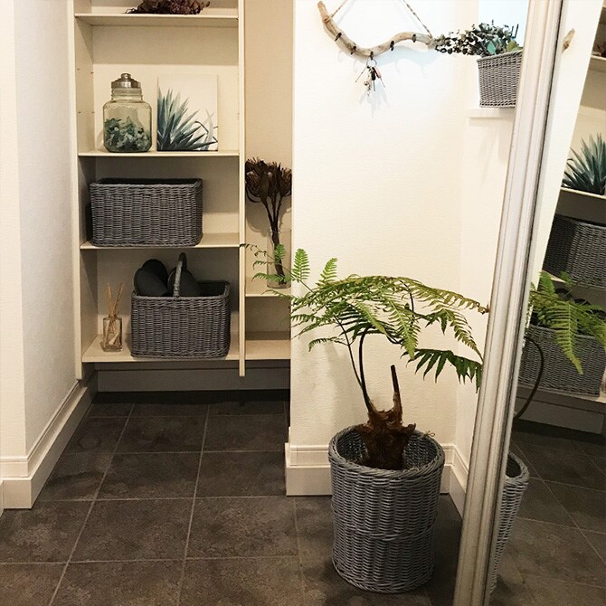 KLEANE キレーネ 抗菌 ダストボックス 