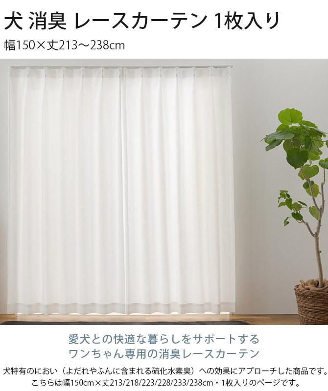 犬 消臭 レースカーテン 1枚入り 幅150×丈213~238cm