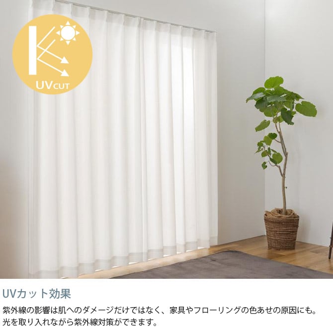 猫 消臭 レースカーテン 1枚入り 幅200×丈213~238cm