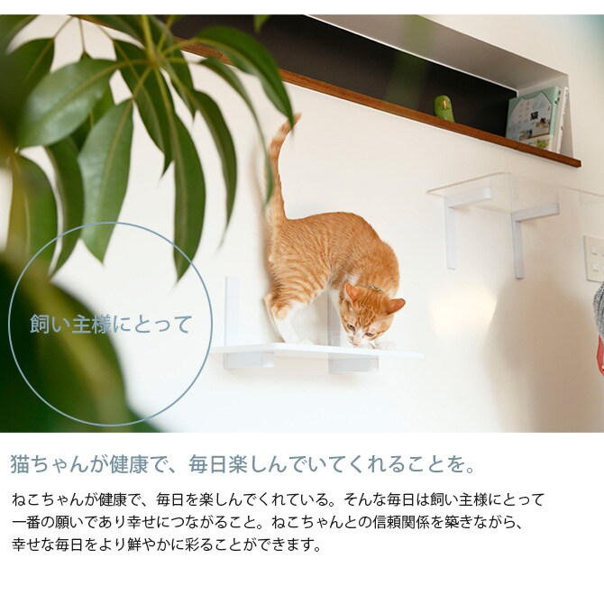 animacolle アニマコレ Catroad+ ロングステップ 幅60cm  猫 賃貸 小さい穴 キャットステップ キャットウォーク 壁 DIY ロング キャットタワー ホワイト 白 おしゃれ  
