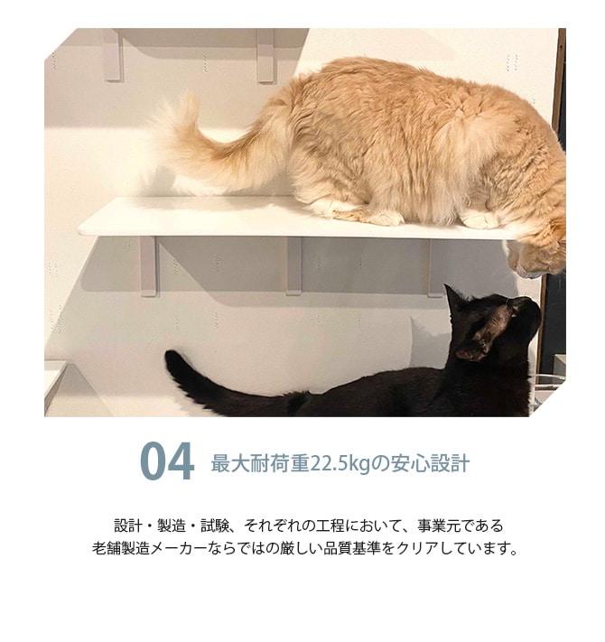 animacolle アニマコレ Catroad+ ロングステップ 幅60cm  猫 賃貸 小さい穴 キャットステップ キャットウォーク 壁 DIY ロング キャットタワー ホワイト 白 おしゃれ  