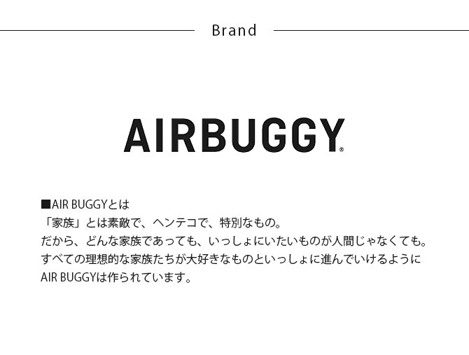AIR BUGGY エアバギー ウォータープロテクト オーガナイザー  犬用 猫用 ペットカート用 オプション バッグ ベビーカーバッグ ペットカートバッグ 撥水加工  