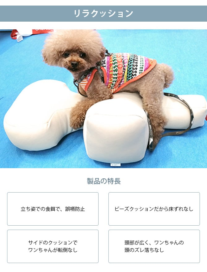 OneAid ワンエイド リラクッション＆専用カバーセット L  犬 中大型犬 介護 シニア ビーズクッション 姿勢サポート 高齢 専用カバー付き  