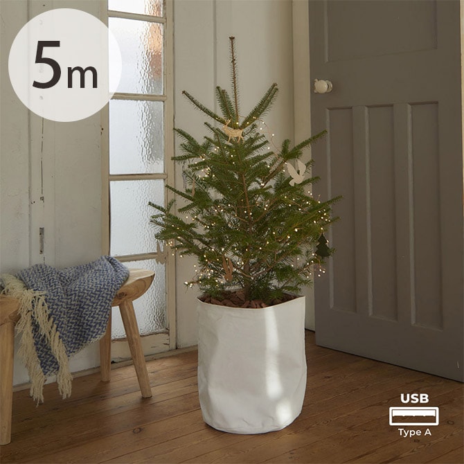 shesay シセイ 部屋を彩る 枝のLEDデコレーションライト グロート 5m 