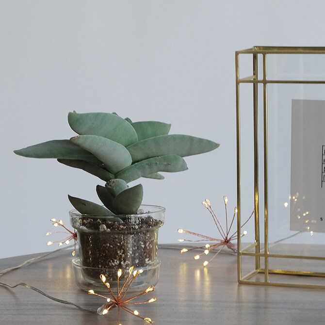 shesay シセイ 部屋を彩る 枝のLEDデコレーションライト ガーランド ブルーミング 