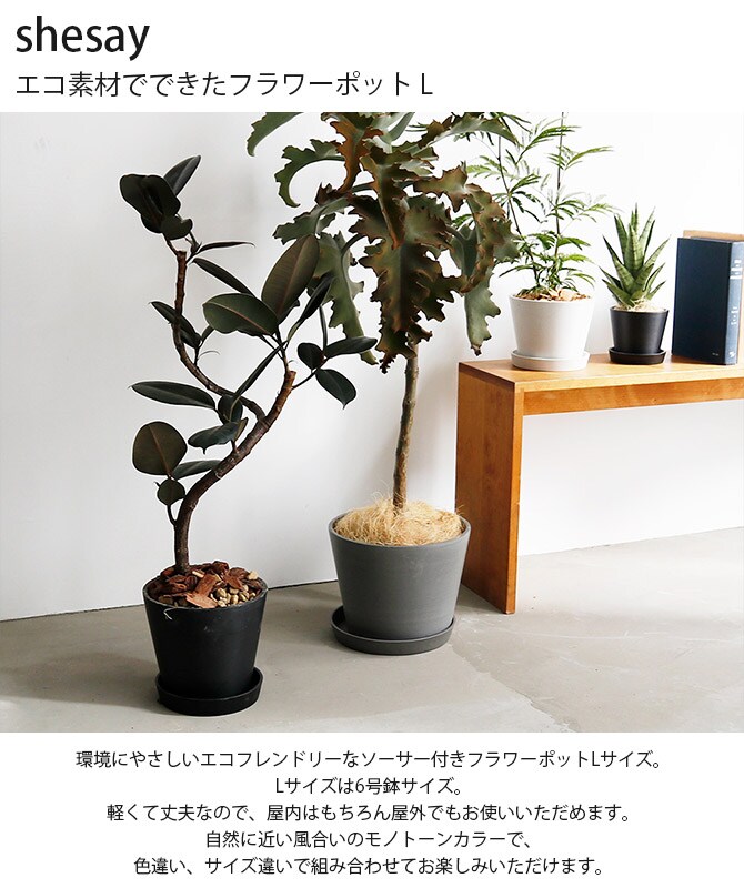 shesay シセイ エコ素材でできたフラワーポット L 