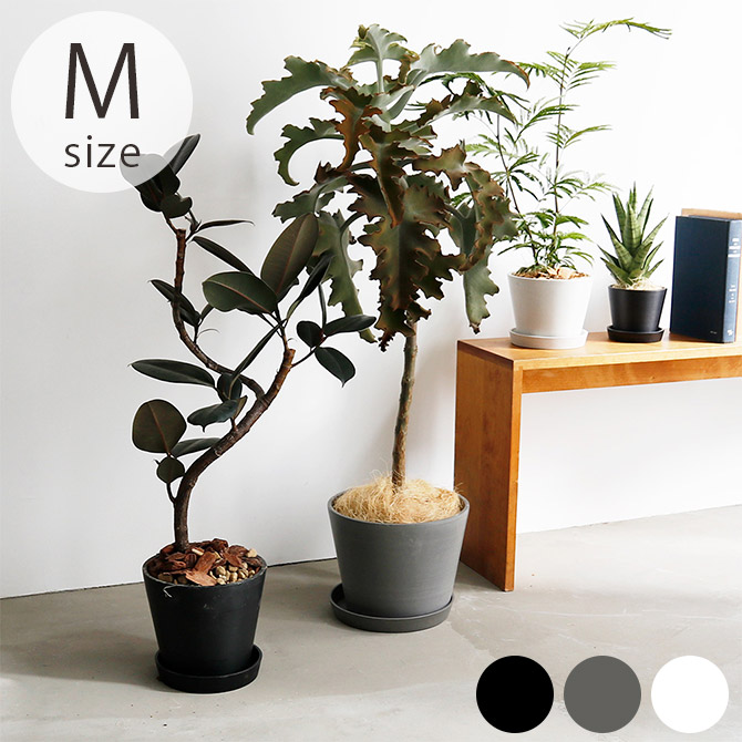 shesay シセイ エコ素材でできたフラワーポット M 