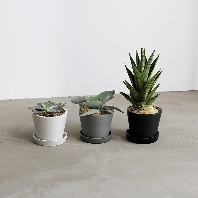 shesay シセイ エコ素材でできたフラワーポット M 