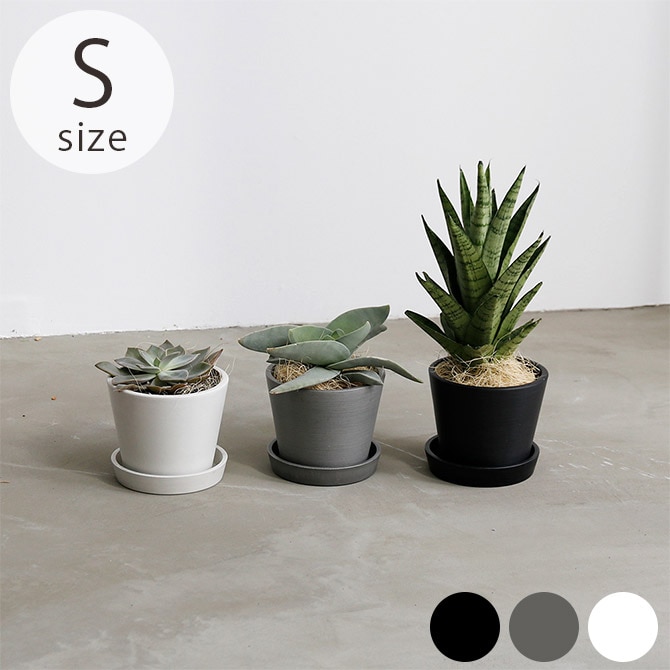 shesay シセイ エコ素材でできたフラワーポット S 