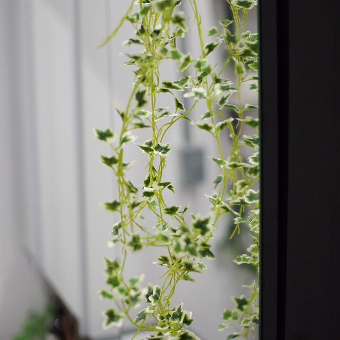 消臭アーティフィシャルグリーン ロングスワッグ