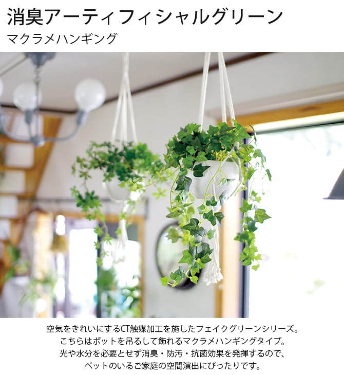 消臭アーティフィシャルグリーン マクラメハンギング