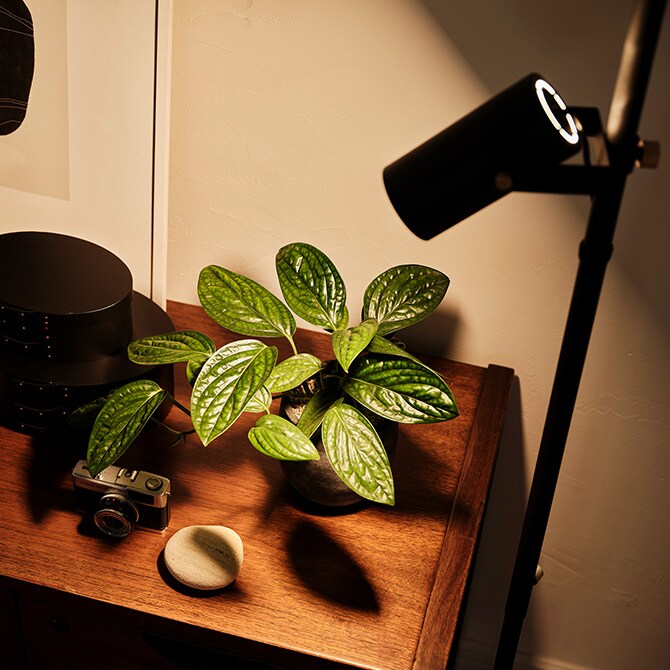 ドローアライン DRAW A LINE 025 スポットライト