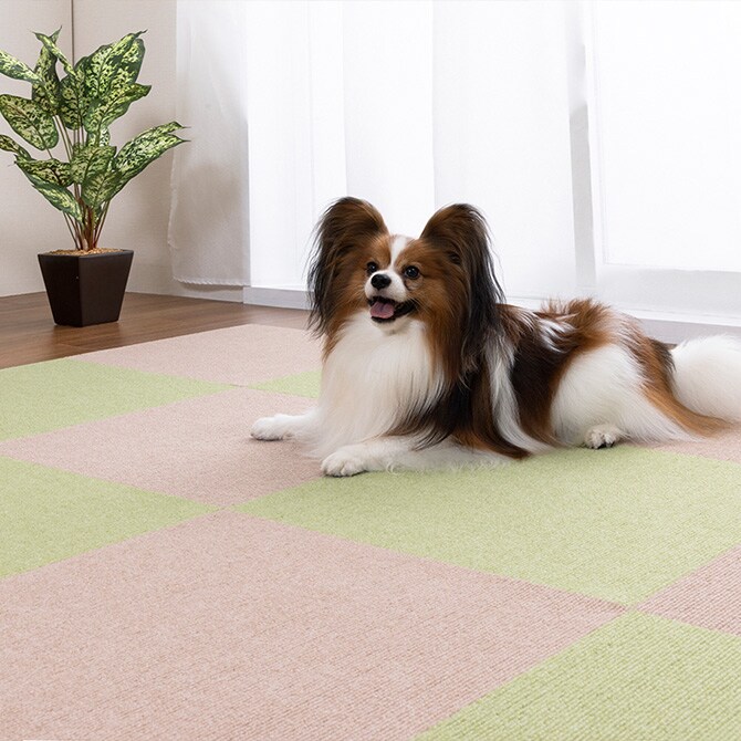 ペット用撥水タイルマット 45×45cm 同色20枚入り 