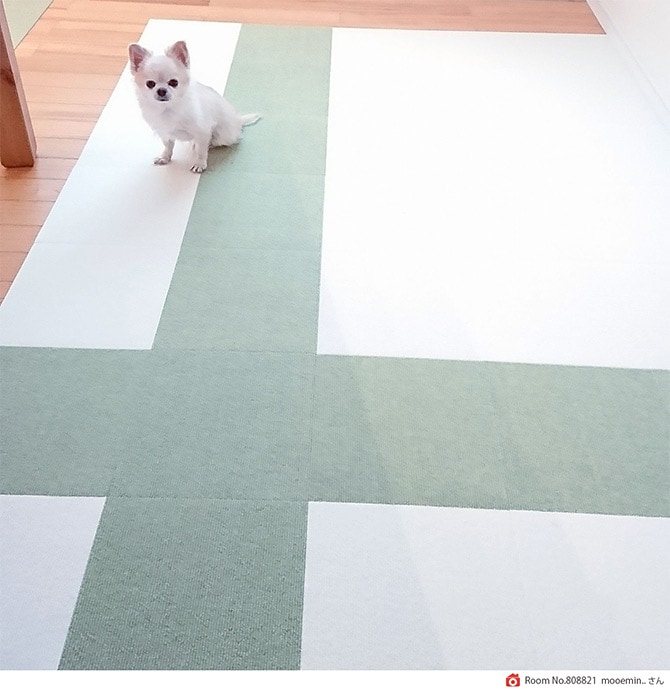 ペット用撥水タイルマット 30×30cm 同色40枚入 