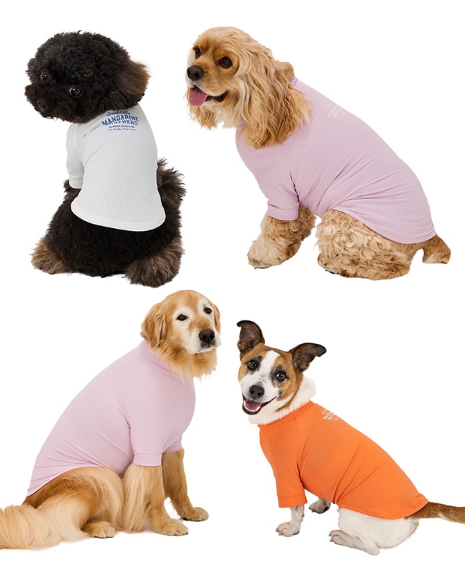MANDARINE BROTHERS マンダリンブラザーズ スキンタイト クールTシャツ 3L、4L、5L 犬 ドッグウェア 犬の服 夏用 涼しい 接触冷感 Tシャツ おしゃれ 可愛い 伸びる
