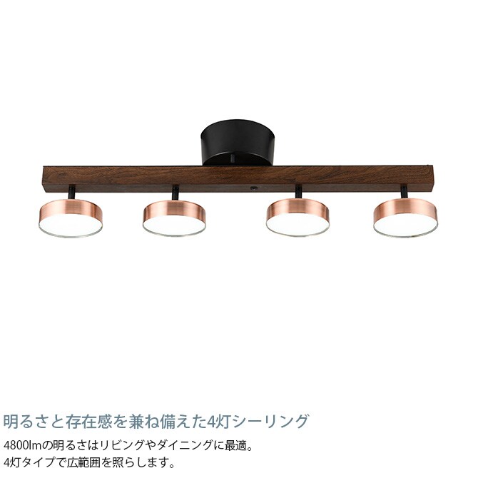 Another Garden アナザーガーデン Rumani ルマーニ 4シーリングライト