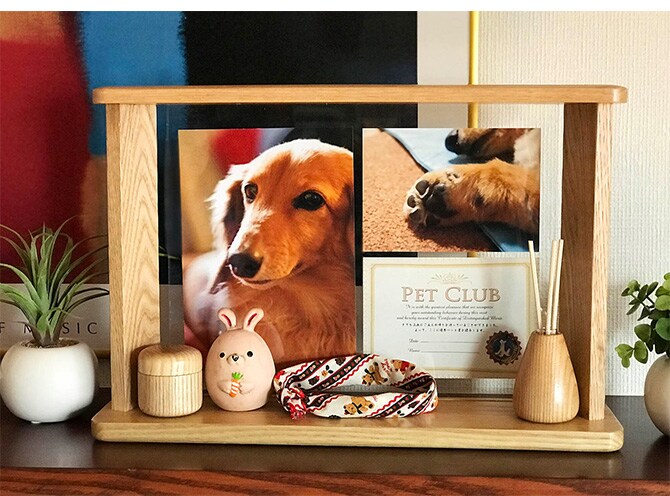 Being Frame　ビーイングフレーム 