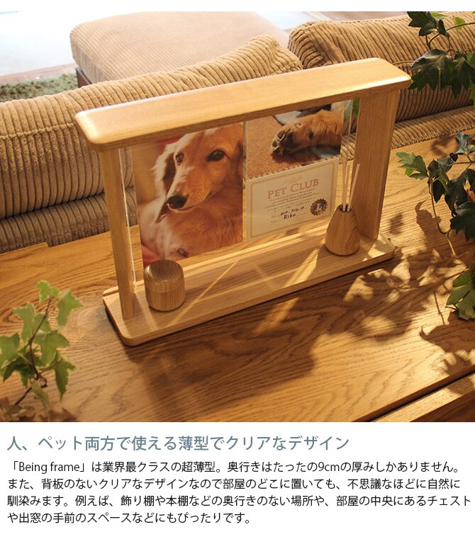 Being Frame　ビーイングフレーム 