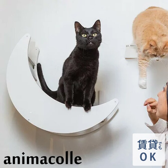 animacolle アニマコレ キャットムーン 