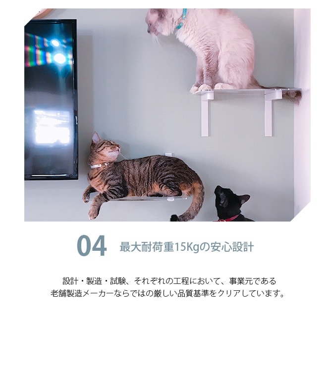 animacolle アニマコレ キャットムーン 