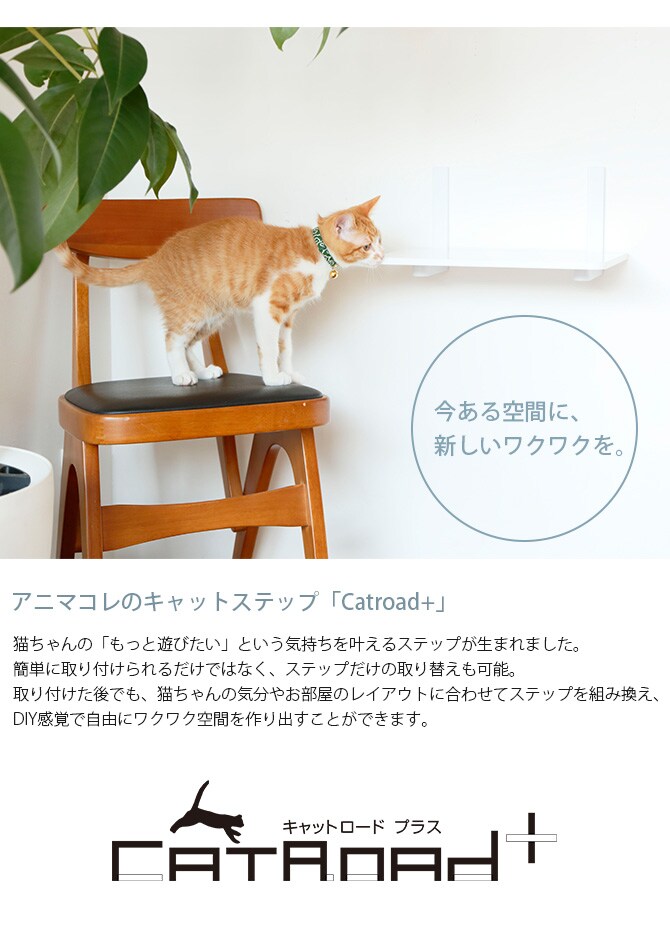 animacolle アニマコレ キャットムーン 