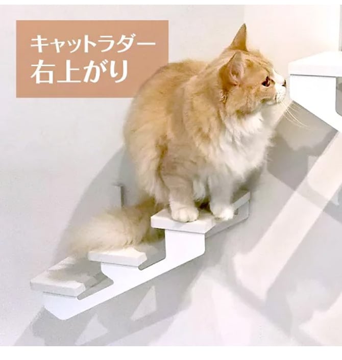 animacolle アニマコレ キャットラダー キャットステップ 猫用 猫 ステップ 階段 シンプル おしゃれ 白 モノトーン 賃貸