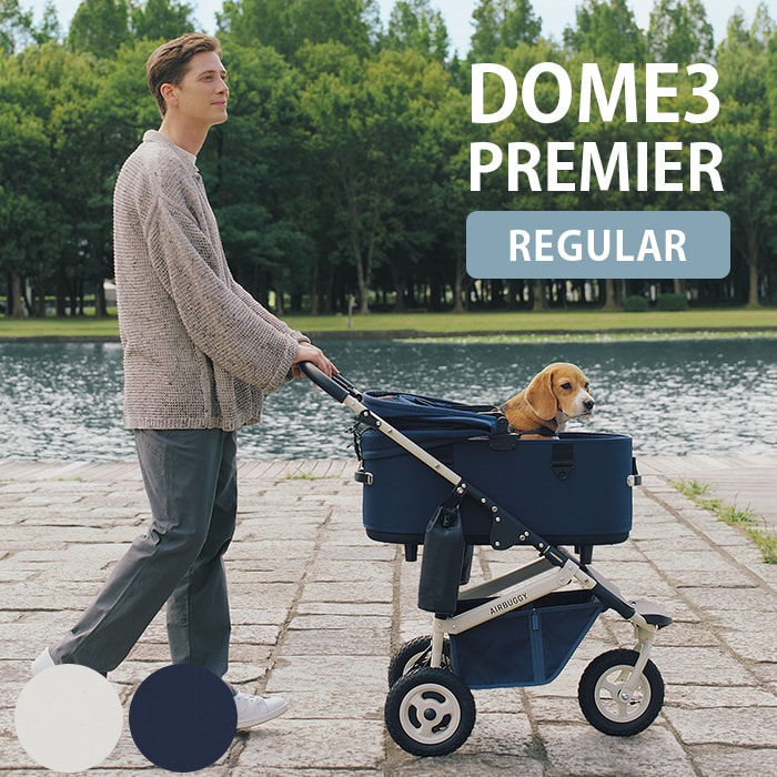 AIRBUGGY エアバギーDOME3 PREMIER ドーム3 プレミア クルーズライン レギュラーセット