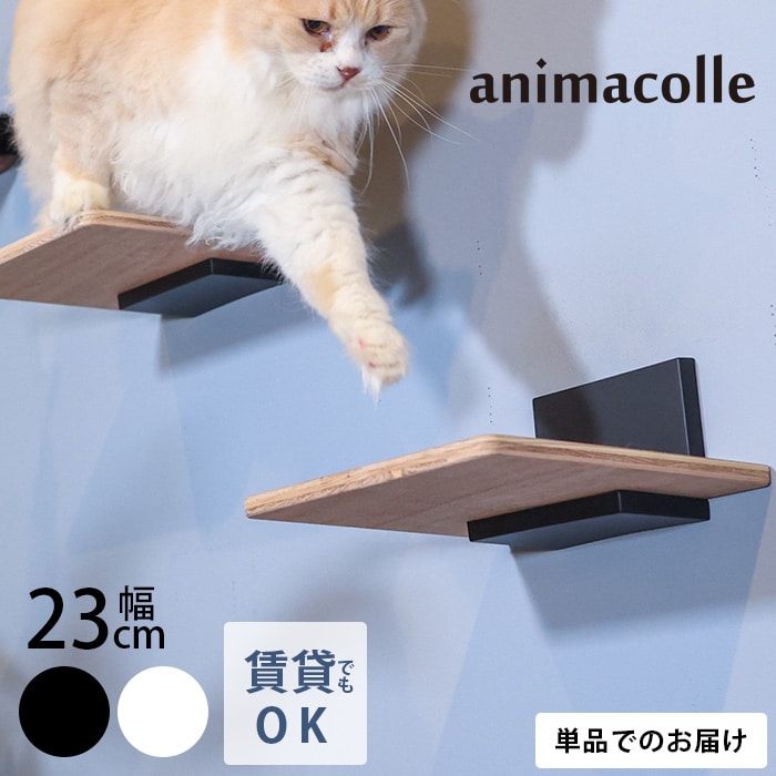  animacolle アニマコレキャットステップキット