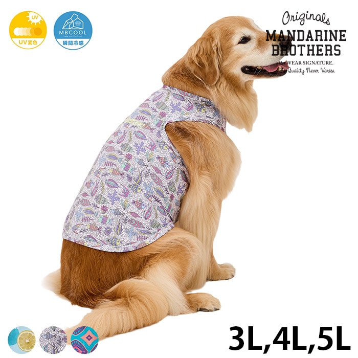 MANDARINE BROTHERS マンダリンブラザーズCCL クーリングタンク 3L、4L、5L