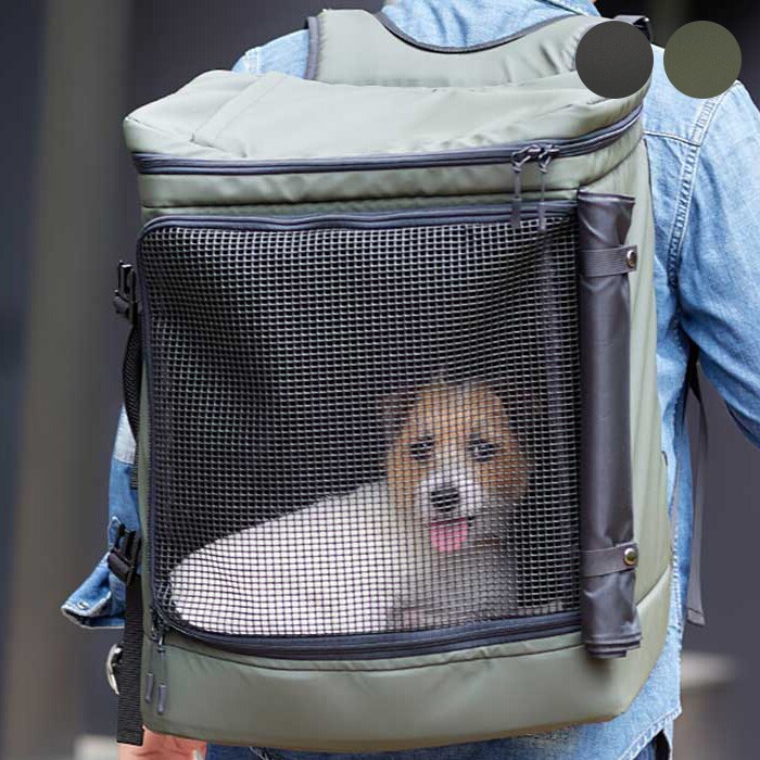  LIFELIKE ライフライク2WAYボックスキャリー