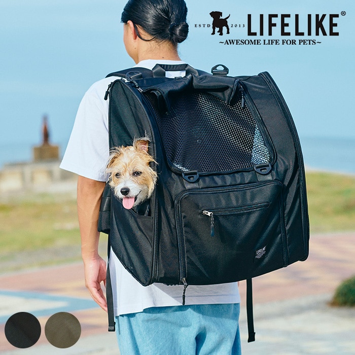 LIFELIKE ライフライクフィールドギアバックパック