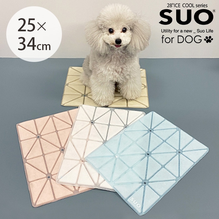 SUO スオ28°ICE COOL Mat 2 クールマット