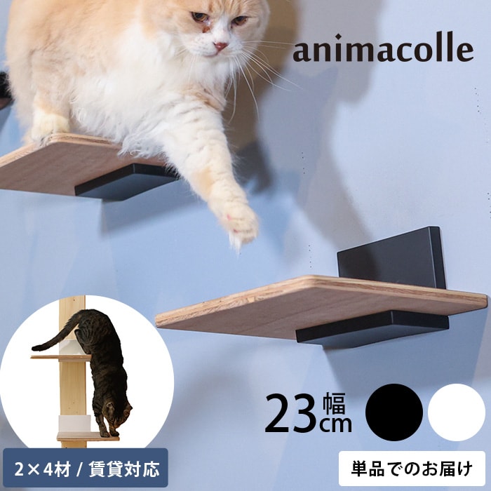  animacolle アニマコレキャットステップキット2×4