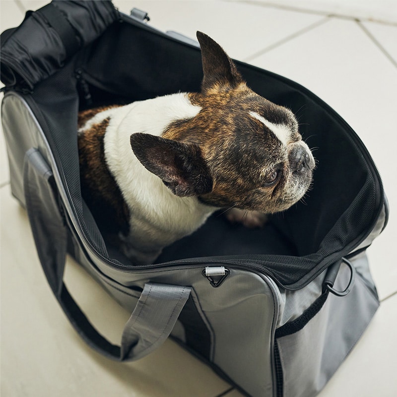 MANDARINE BROTHERS マンダリンブラザーズ ダブルフェイスキャリートートバッグ 犬用 猫用 ペット用 ペットキャリー ドッグキャリー トート ショルダー おしゃれ ユニセックス かっこいい キャリーバッグ 病院 お出かけ