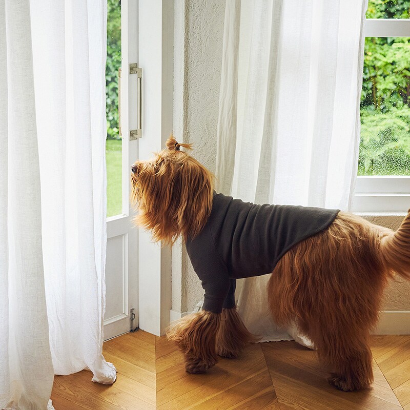 MANDARINE BROTHERS マンダリンブラザーズ スキンタイトウォームTシャツ M、MD、L  犬用 ペット用 ドッグウェア 犬の服 スキンタイト 防寒　保温 発熱 秋冬 温か　暖か Tシャツ　ストレッチ　伸縮  