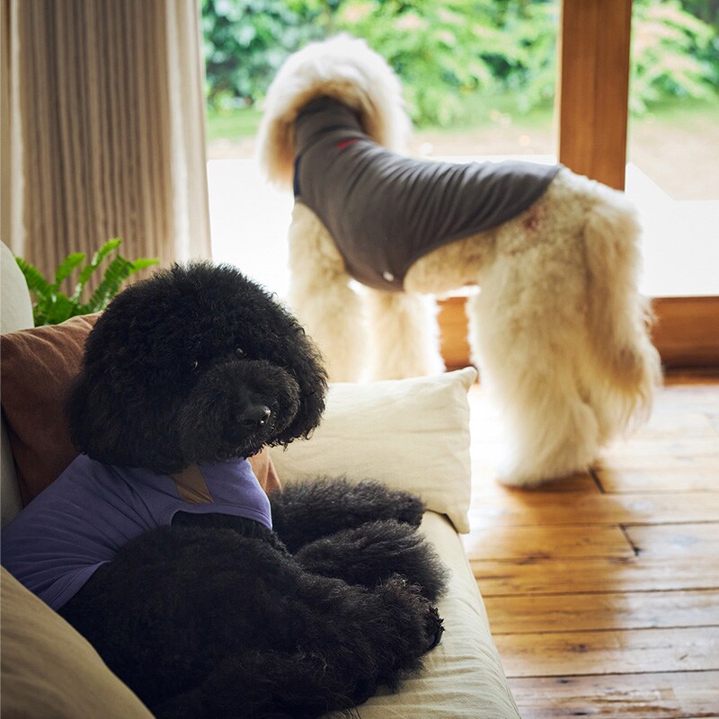 MANDARINE BROTHERS マンダリンブラザーズ モイストハイネックT XL、XXL  犬用 ペット用 ドッグウェア 犬の服 Tシャツ 秋冬　防寒 ハイネック 伸縮性抜群 ストレッチ  