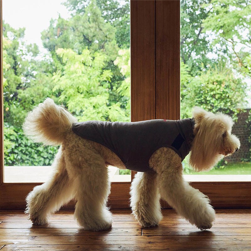 MANDARINE BROTHERS マンダリンブラザーズ モイストハイネックT XL、XXL  犬用 ペット用 ドッグウェア 犬の服 Tシャツ 秋冬　防寒 ハイネック 伸縮性抜群 ストレッチ  