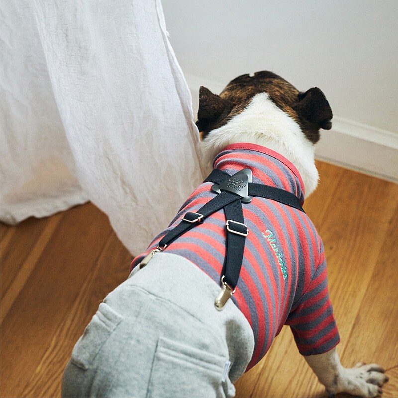 MANDARINE BROTHERS マンダリンブラザーズ サスペンダーパンツ S、M  犬用 ペット用 ドッグウェア 犬の服 サスペンダー ベルト おしゃれ ズボン パンツ  
