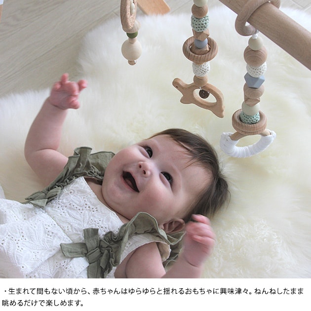 HOPPL ホップル ベビージムセット  赤ちゃん おもちゃ 2ヶ月 4ヶ月 6ヶ月 木のおもちゃ プレイジム ベビー 室内遊具 知育玩具 出産祝い 男の子 女の子  