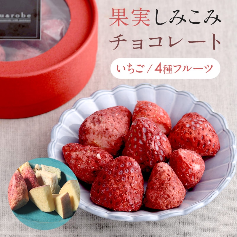 果実染込みチョコ  染みチョコ  含浸 チョコレート いちご 苺 イチゴ リンゴ りんご キウイ みかん おしゃれ かわいい ギフト 手土産 ホワイトチョコ しみチョコ 果物 フリーズドライ フルーツ   