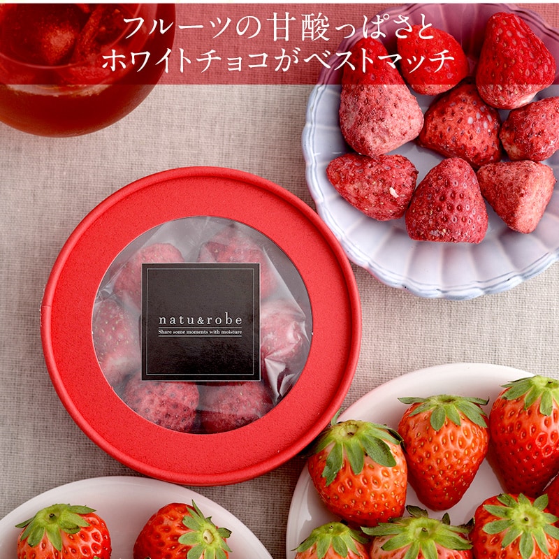 果実染込みチョコ  染みチョコ  含浸 チョコレート いちご 苺 イチゴ リンゴ りんご キウイ みかん おしゃれ かわいい ギフト 手土産 ホワイトチョコ しみチョコ 果物 フリーズドライ フルーツ   