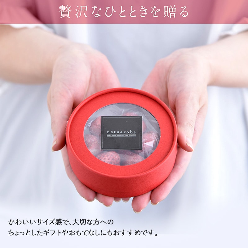 果実染込みチョコ  染みチョコ  含浸 チョコレート いちご 苺 イチゴ リンゴ りんご キウイ みかん おしゃれ かわいい ギフト 手土産 ホワイトチョコ しみチョコ 果物 フリーズドライ フルーツ   