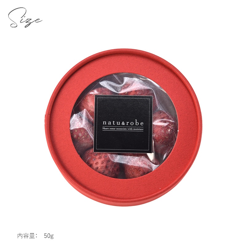 果実染込みチョコ  染みチョコ  含浸 チョコレート いちご 苺 イチゴ リンゴ りんご キウイ みかん おしゃれ かわいい ギフト 手土産 ホワイトチョコ しみチョコ 果物 フリーズドライ フルーツ   