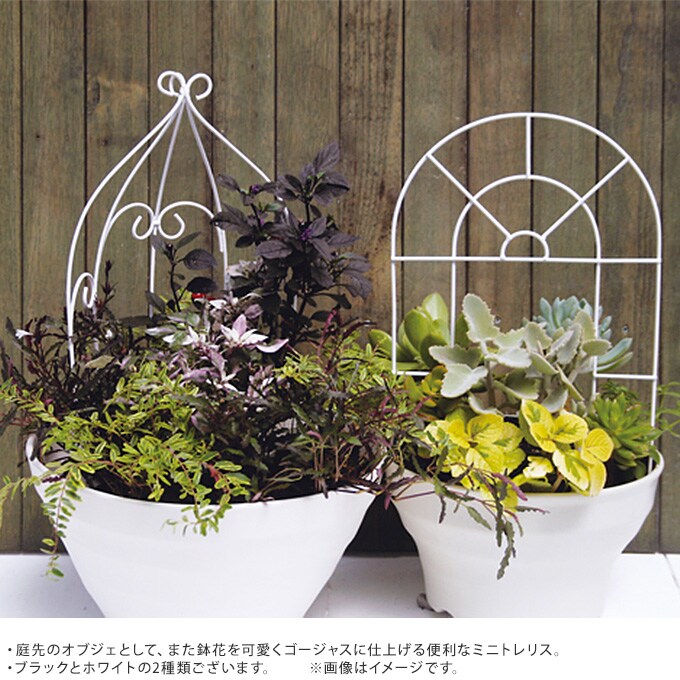 ミニトレリス 気球型タイプ トレリス 小さい ガーデン 飾り フェンス アイアン オベリスク 小型 庭 エクステリア ガーデニング 小さめ 装飾