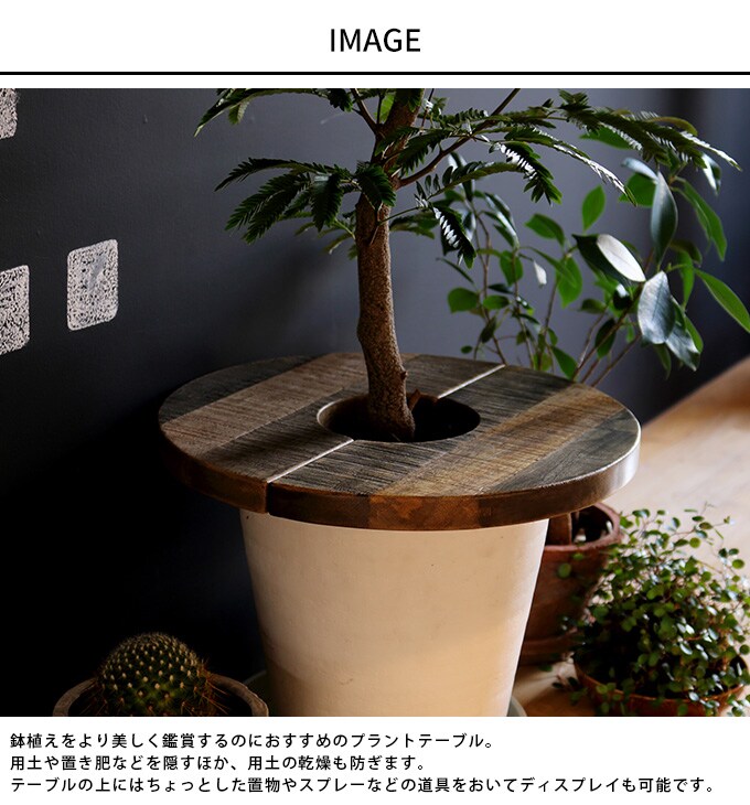 鉢植えを綺麗に プラントテーブル サークル 直径30cm  インテリアグリーン 観葉植物 鉢 カバー 花台 北欧 天然木 おしゃれ  